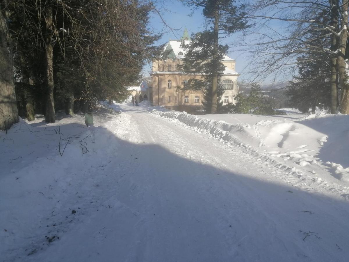 Hotel Vetrov Vysoké nad Jizerou Buitenkant foto